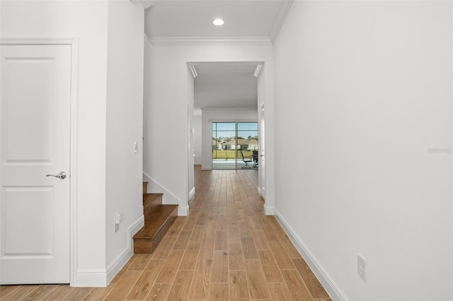 15113 Mayberry Dr, Winter Garden, FL 34787 - photo 5