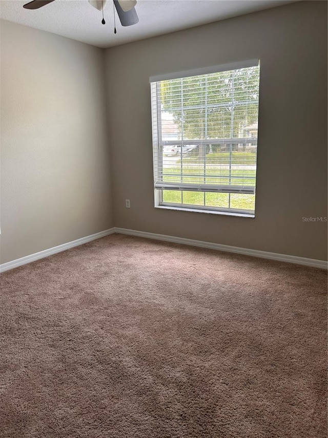 8111 Alamosa Wood Ave, Ruskin, FL 33573 - photo 18