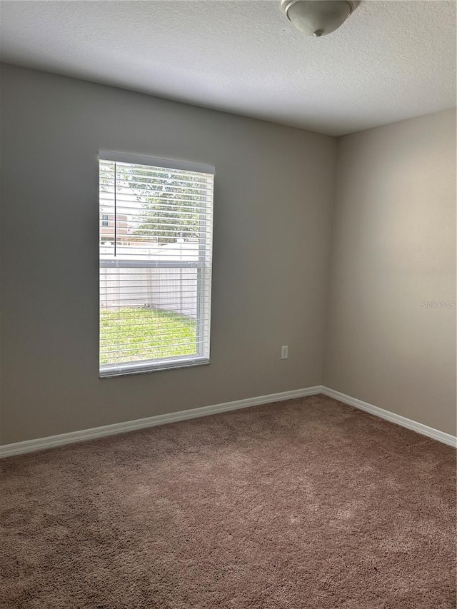 8111 Alamosa Wood Ave, Ruskin, FL 33573 - photo 24