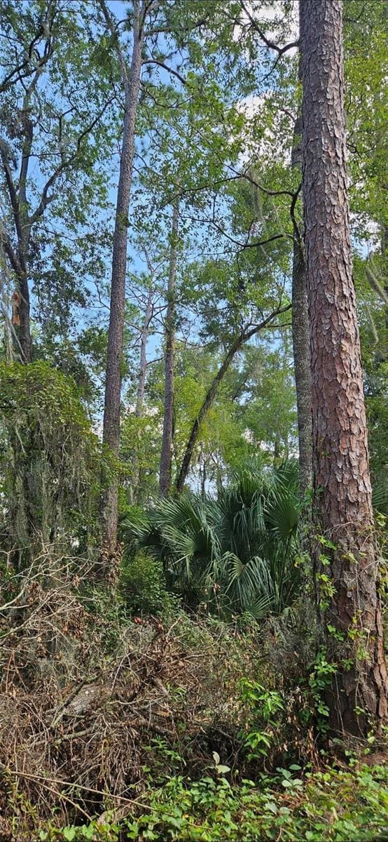 13721 SW 49th Pl, Ocala, FL 34481 - photo 2