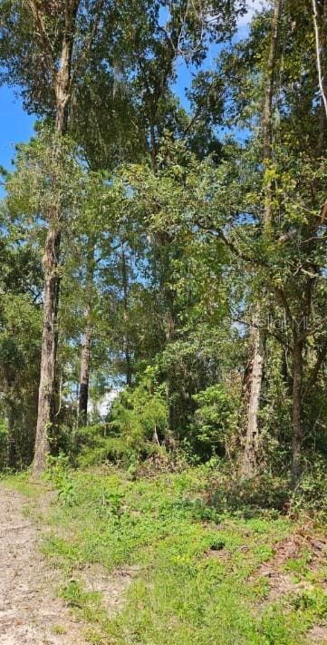 13721 SW 49th Pl, Ocala, FL 34481 - photo 5