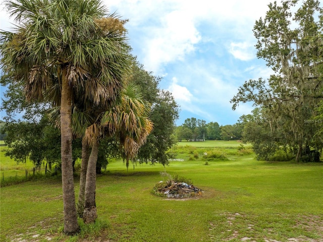 36720 Emeralda Island Rd, Leesburg, FL 34788 - photo 9