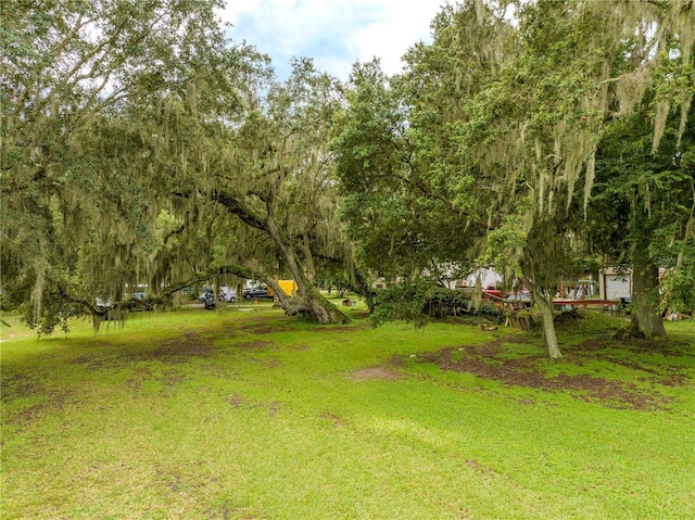 36720 Emeralda Island Rd, Leesburg, FL 34788 - photo 10