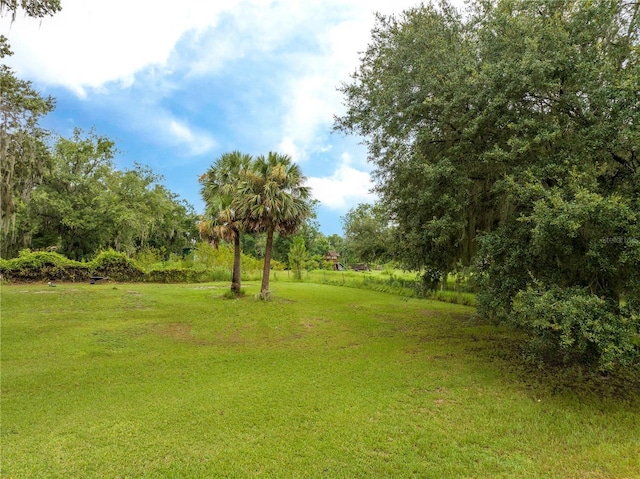 36720 Emeralda Island Rd, Leesburg, FL 34788 - photo 34