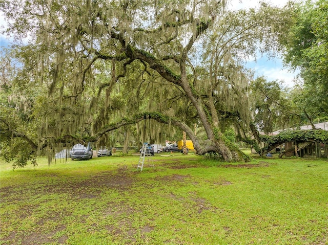 36720 Emeralda Island Rd, Leesburg, FL 34788 - photo 37