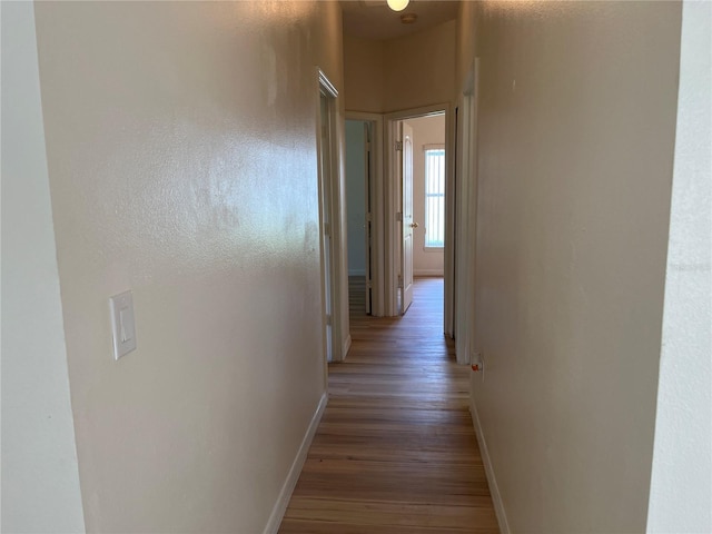 7714 Tanbier Dr, Orlando, FL 32818 - hall with baseboards and wood finished floors