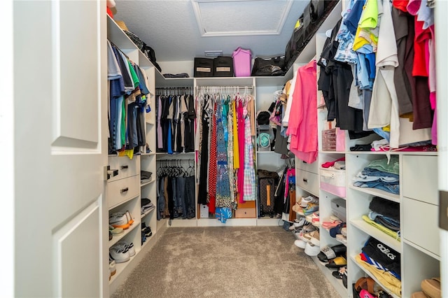 2813 Sanctuary Dr, Clermont, FL 34714 - spacious closet featuring attic access