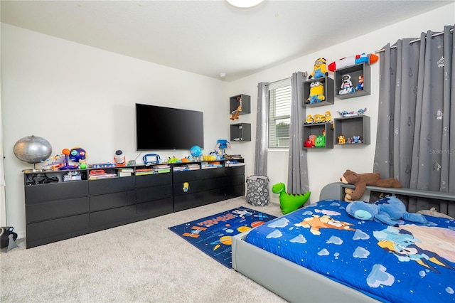 2813 Sanctuary Dr, Clermont, FL 34714 - view of carpeted bedroom