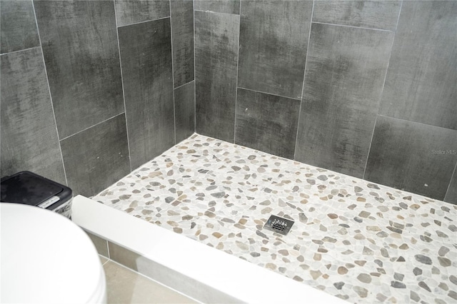 2813 Sanctuary Dr, Clermont, FL 34714 - bathroom view of a tile shower and toilet