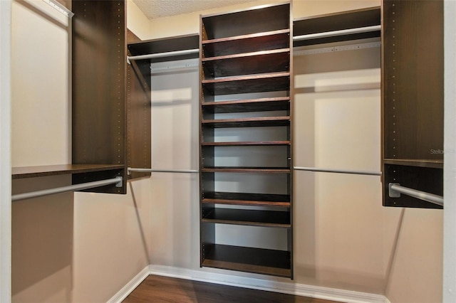 669 Whitetail Loop, Apopka, FL 32703 - walk in closet featuring dark wood-type flooring