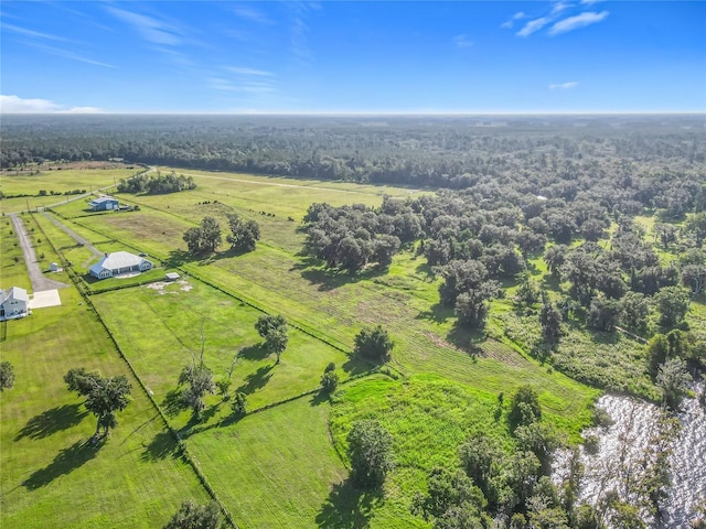 14453 Andalusia Trl, Bunnell, FL 32110