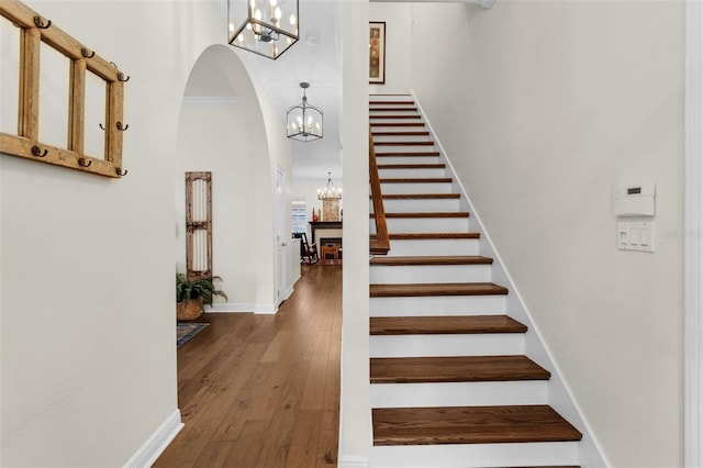 1100 Edwards Ln, Orlando, FL 32804 - photo 22