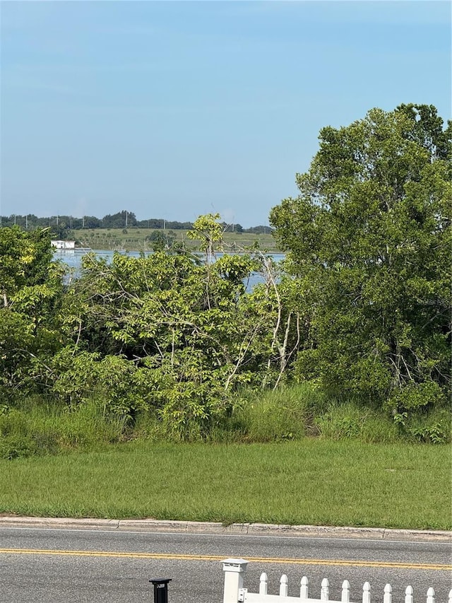 485 N Buena Vista Dr, Lake Alfred, FL 33850 - photo 5
