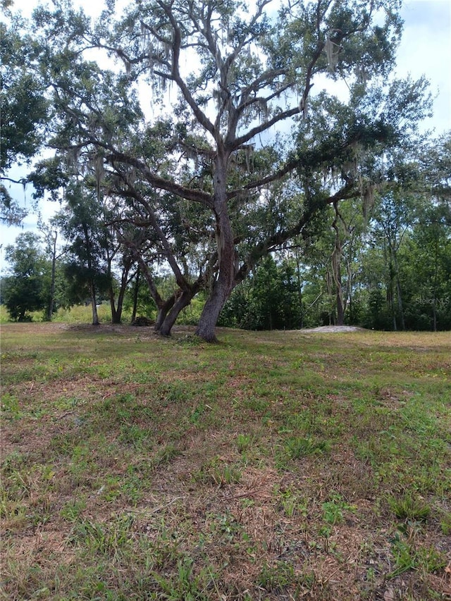 9117 E Royal Palm Dr, Inverness, FL 34450