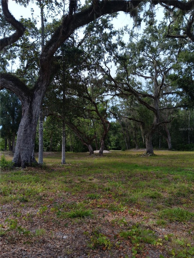 9117 E Royal Palm Dr, Inverness, FL 34450