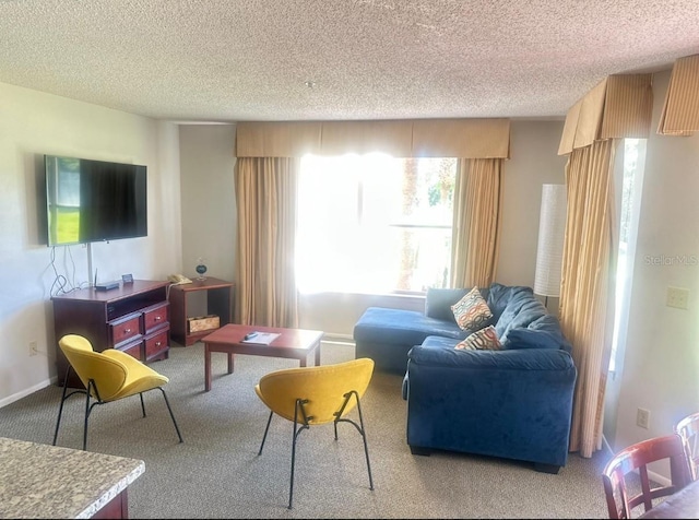 6336 Parc Corniche Dr, Orlando, FL 32821 - living room with carpet and a textured ceiling