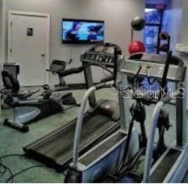 6336 Parc Corniche Dr, Orlando, FL 32821 - exercise room featuring carpet flooring