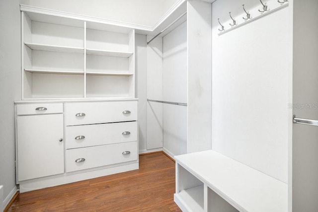 274 Wekiva Pointe Cir, Apopka, FL 32712 - walk in closet featuring dark wood-style flooring