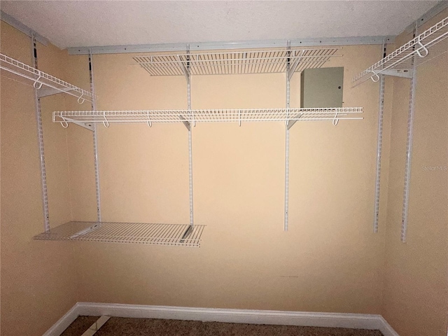 1676 Vick Rd, Apopka, FL 32712 - view of walk in closet