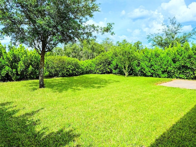 1047 Oak Bluff Dr, Davenport, FL 33837 - view of green lawn