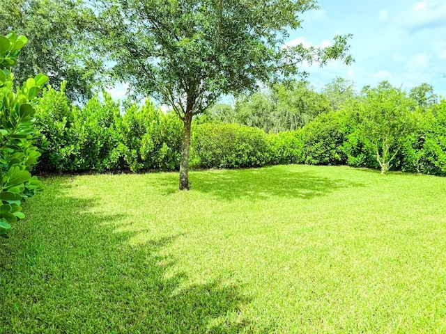 1047 Oak Bluff Dr, Davenport, FL 33837 - view of green lawn