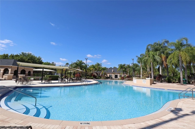 4080 Safflower Ter, Oviedo, FL 32766 - community pool with a patio