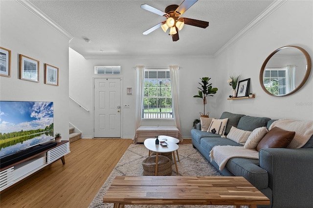 14466 Bridgewater Crossings Blvd, Windermere, FL 34786 - living room featuring light wood finished floors, stairs, ornamental molding, a ceiling fan, and a textured ceiling