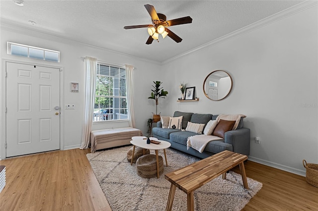 14466 Bridgewater Crossings Blvd, Windermere, FL 34786 - living area with light wood-style flooring, crown molding, ceiling fan, and a textured ceiling