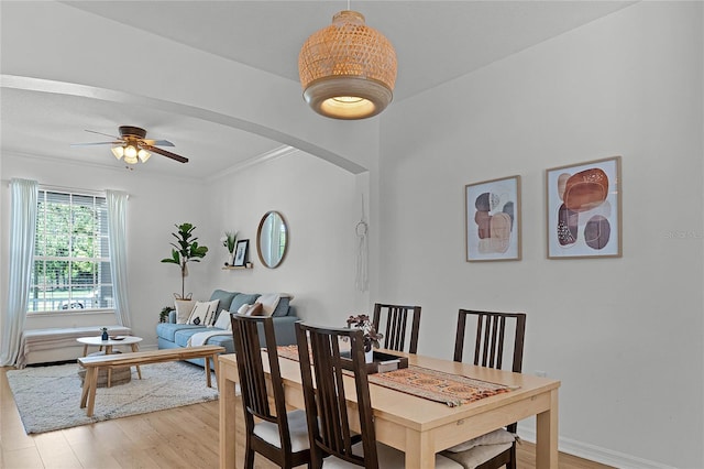 14466 Bridgewater Crossings Blvd, Windermere, FL 34786 - dining space with light wood finished floors, ceiling fan, ornamental molding, and arched walkways