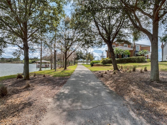 14466 Bridgewater Crossings Blvd, Windermere, FL 34786 - view of road with a water view