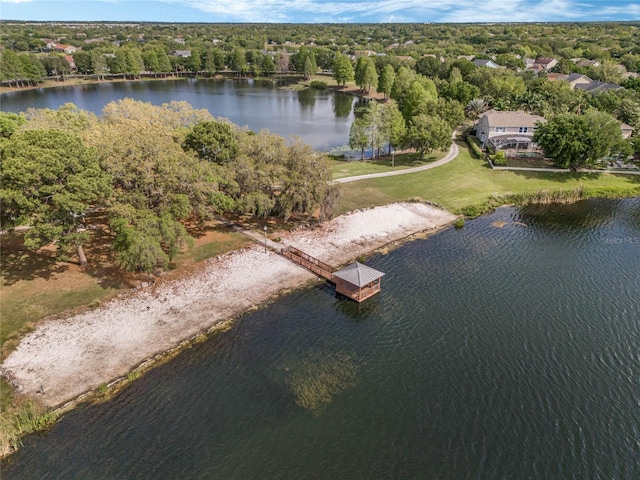14466 Bridgewater Crossings Blvd, Windermere, FL 34786 - aerial view of property's location with a large body of water