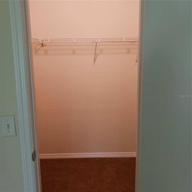 289 White Marsh Cir, Orlando, FL 32824 - spacious closet with carpet flooring