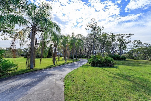 13377 Lake Butler Blvd, Winter Garden, FL 34787 - photo 7