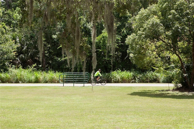 1162 Spotted Sandpiper Loop, Winter Springs, FL 32708 - photo 47