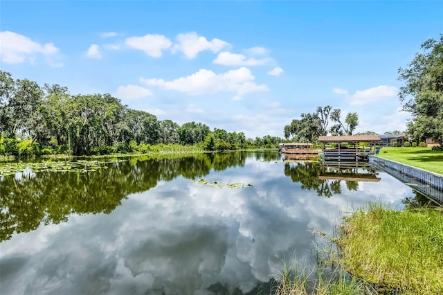 5614 E Harbor Dr, Fruitland Park, FL 34731 - photo 30