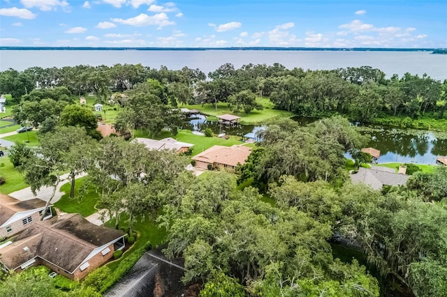 5614 E Harbor Dr, Fruitland Park, FL 34731 - photo 44