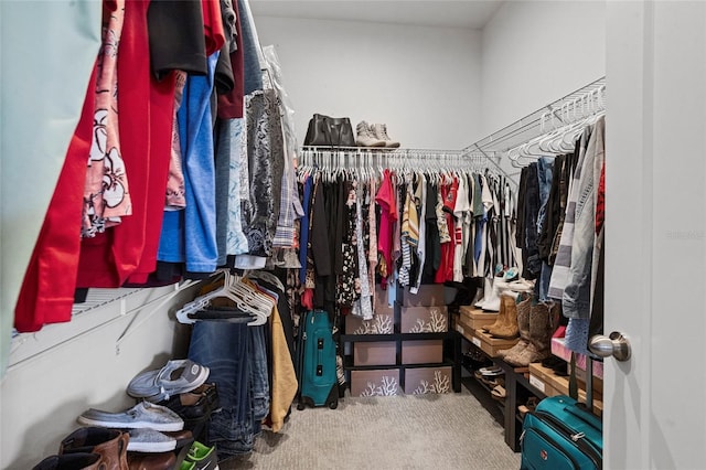 3336 Jackson Bluff Way, Clermont, FL 34711 - walk in closet with carpet flooring