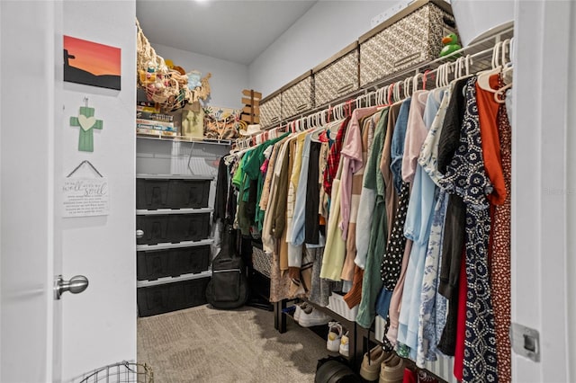 3336 Jackson Bluff Way, Clermont, FL 34711 - walk in closet featuring carpet floors