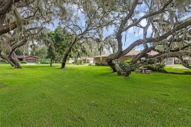 E Harbor Dr, Fruitland Park, FL 34731 - photo 4