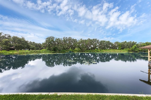 E Harbor Dr, Fruitland Park, FL 34731 - photo 5