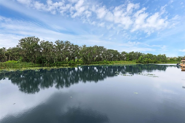 E Harbor Dr, Fruitland Park, FL 34731 - photo 6