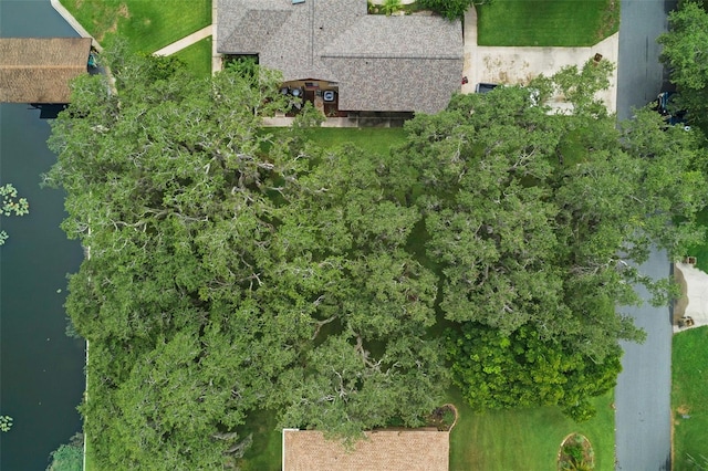 E Harbor Dr, Fruitland Park, FL 34731 - photo 9