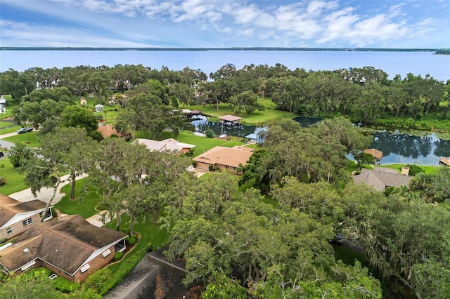 E Harbor Dr, Fruitland Park, FL 34731 - photo 11