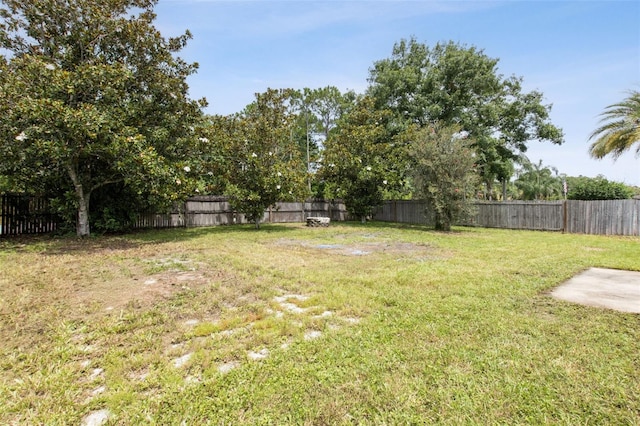 3026 Colorado Ave, Orlando, FL 32826 - photo 7