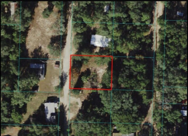 4215 NE 172nd Ave, Silver Springs, FL 34488 - photo 1