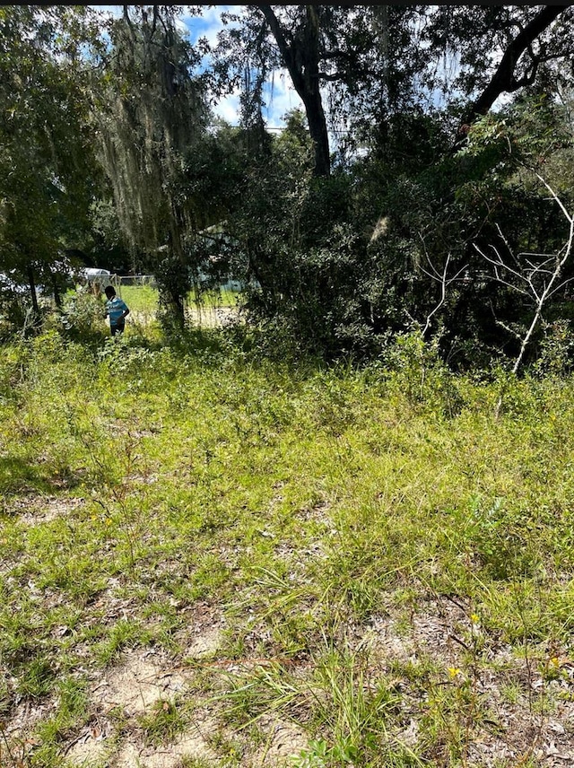 4215 NE 172nd Ave, Silver Springs, FL 34488 - photo 2