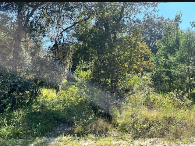 4215 NE 172nd Ave, Silver Springs, FL 34488 - photo 3
