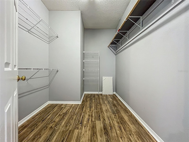 5754 Magnolia Bloom Ter, Oviedo, FL 32765 - walk in closet featuring wood finished floors