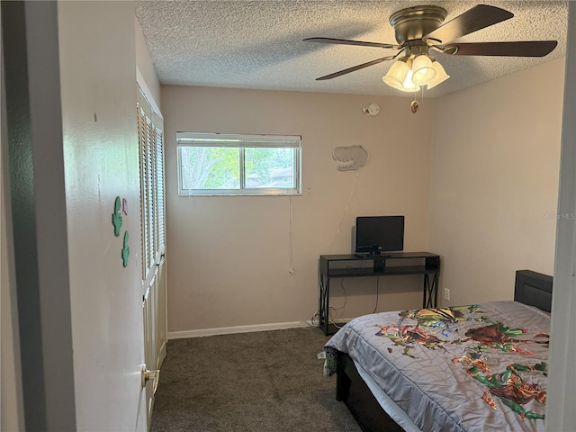 2906 Lichen Ln Unit B, Clearwater, FL 33760 - photo 5