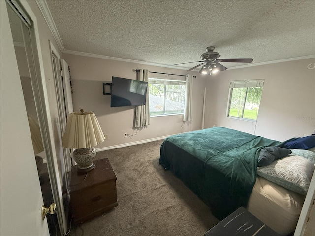 2906 Lichen Ln Unit B, Clearwater, FL 33760 - photo 8